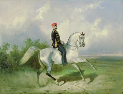 Portrait of Emperor Alexander II by Nikolai Egorevich Sverchkov